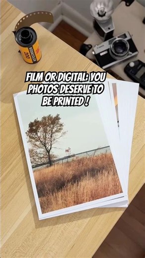 Beautiful Prints from Film or Digital!