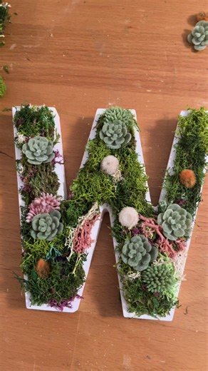 Creative Moss Art with Pink and Teal Succulents