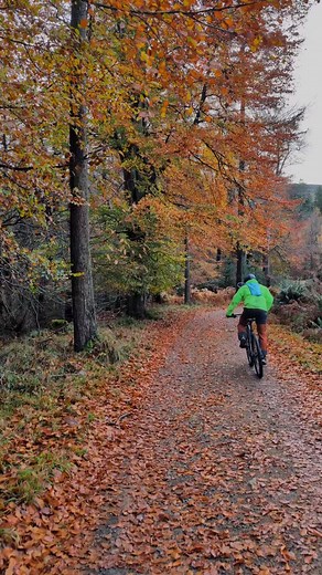 Tullymore trails #mournes #ireland #mtb | Dee Keenan