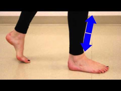 Gait Analysis: Muscle Moments During the Loading Response Phase