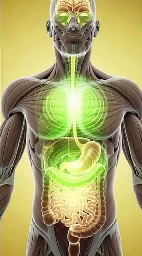 Peppermint Tea Benefits for Digestion Focus and Energy Boost #helthbenefits #healthbenefits