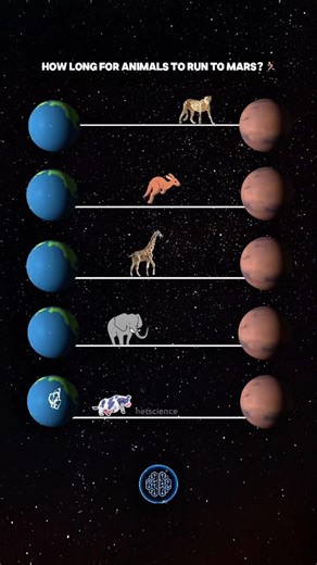 If Animals Ran to Mars… How Long Would It Take?