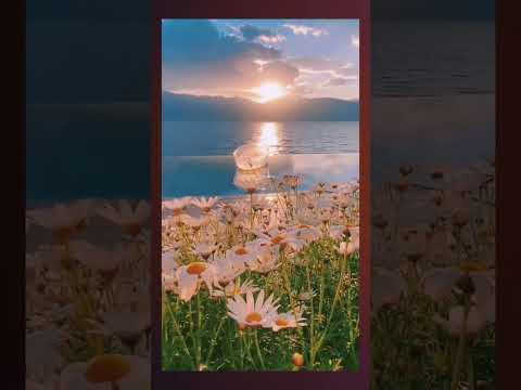 Connect to Your Intuition | 10-Minute Guided Meditation for Inner Clarity & Confidence