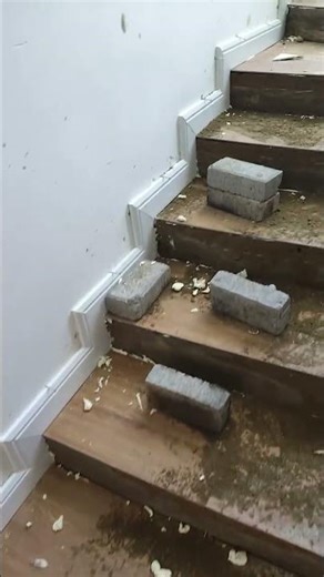 SPC Flooring on Stairs Clean Step Finish
