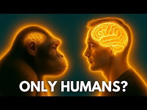 Why Are Humans the Only Smart Animals?