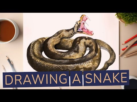 How to Draw a Snake - Ultra Realistic Result
