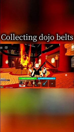 How to get all dojo belts in blox fruit #bloxfruits #roblox #gaming