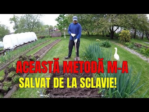 Cum faci straturi înălțate și călduroase în grădina ta!