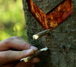 161K views · 64 reactions | Clever hacks to enhance your camping adventure | 3-Minute Hacks | Facebook