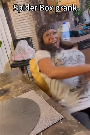 Spider Box Prank That Will Make You Laugh
