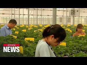 S. Korean smart farm technology creates cooling greenhouses in Vietnam