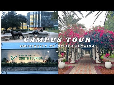 University of South Florida | Campus Tour | Tampa