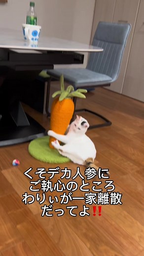 人参を使った一家離散レシピ