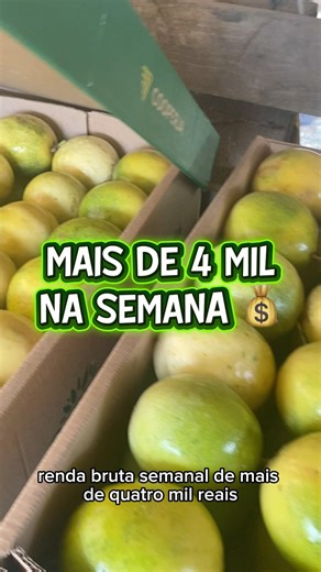 4 MIL POR SEMANA COM APENAS 300 PÉS DE MARACUJÁ #agronegócio #agro