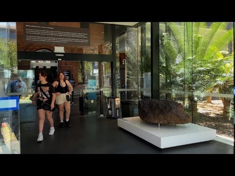 South Australian Museum | Life in Adelaide, Australia