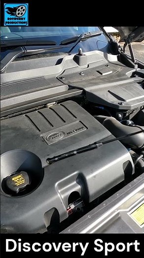 0W-30 Oil Check Takes 1 Minute! #discoverysport #oilmaintenance #carcare