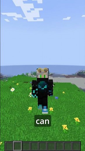 This Mod Makes Managing Pets in Minecraft EASY