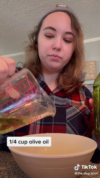 Ginger and Oatmeal Dog Treats Recipe for the Holidays