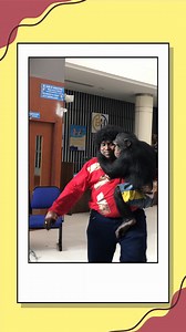 37K views · 210 reactions | Watch the hilarious behind-the-scenes...