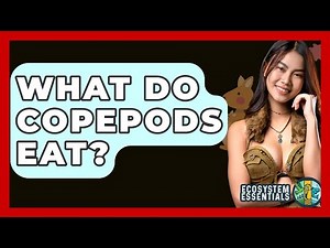 What Do Copepods Eat? - Ecosystem Essentials