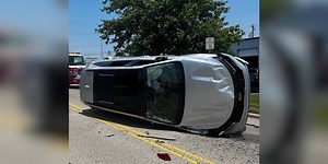 Cicada flies into car, startling driver and causing crash, police say