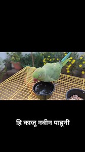 Neeta Kumbhar on Reels