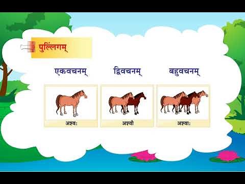 Ling Aur Vachan in Sankrit Grammar | संस्कृत में लिंग और वचन | Sanskrit Vyakaran
