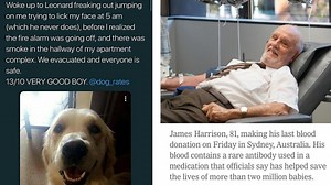 15 'Feel-Good' Images Guaranteed To Brighten A Dreary Day