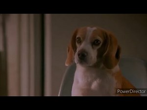 Dr. Dolittle 2 Opening