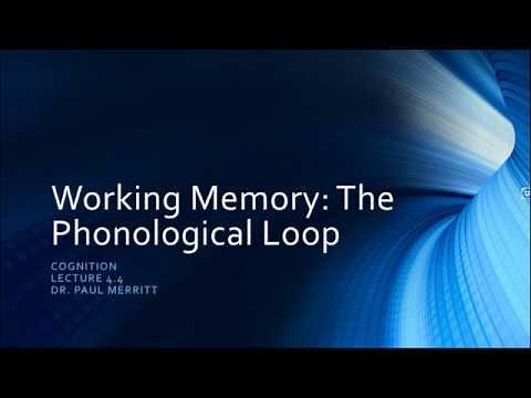 Cognition 4 4 Working Memory: The Phonological Loop