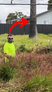 2.3M views · 16K reactions | She wants this Lawnmower Man FIRED for destroying this tree. #wow | Tim The Lawnmower Man | Facebook