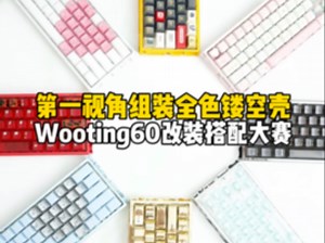 第一视角组装全套颜色镂空壳wooting搭配大赛