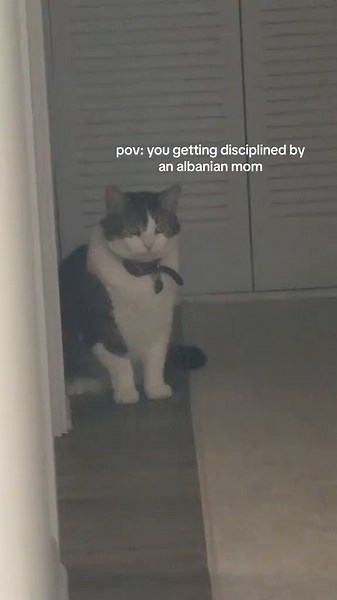 Mom Discipline Albanian Style