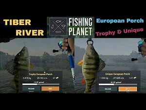 Fishing Planet, Tiber river, Italy, European Perch, Trophy & Unique