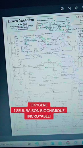 Métabolisme humain: Chaîne respiratoire et oxygène
