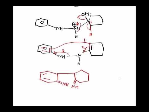 Fischer Indole Synthesis,Mr.Pappu Bhowmick