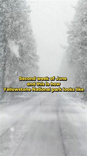 Yellowstone is a high plateau - much of it sits above 7,500 feet. At that elevation it can snow in ANY month of the year, July and August included. June snow there isn't unusual. It's a normal Tuesday.Weather is what happens today. Climate is the pattern over decades. One snowy day at 8,000 feet doesn't undo a warming trend any more than one cold morning cancels summer.Want the actual climate picture? Here it is …two-thirds of the U.S. is having a top-3 warmest year on record. One snowy plateau 