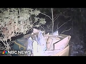 Amazon packages dumped in woods by driver who says she was too stressed