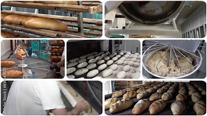 Commercial Bread Production - Multiscreen Video Montage. Bread Factory Production Line. Baker Works at Bread Packaging Line. Tasty, Rustic Baked Bread Coming Out from Industrial Furnace.