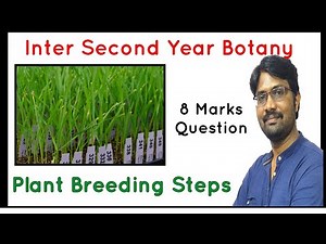 Plant Breeding Steps that you will undertake to release a new variety || Inter Second Year Botany