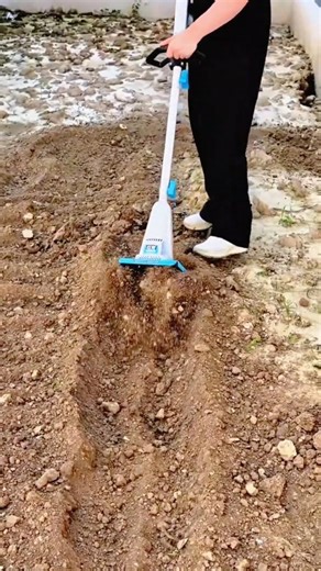Using a Handheld Electric Tiller to Loosen and Prepare Garden Soil Before Planting #shorts