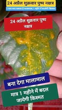 Friday, April 24th, Pushya Nakshatra, one Peepal tree can make you rich! Luck will change in one ...