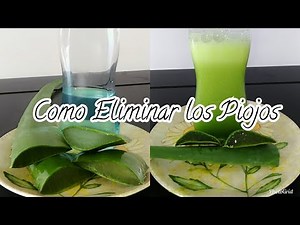 Como Eliminar los Piojos o Pediculosis en 2 Pasos / How to Get Rid of Lice in 2 Steps