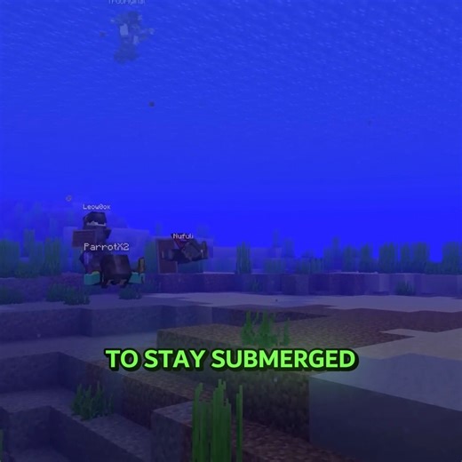 SwagzyEdits on Instagram: "Original Video From PARROT: I Got Hunted by a Minecraft Hacker #fyp #minecraft #unstablesmp"