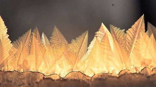 20K views · 349 reactions | Ice crystals form on glass in real time in this mesmerizing video captured on a cold day in Minnesota ❄️ Video: @mikeshawphoto/Twitter | The Weather Network | Facebook