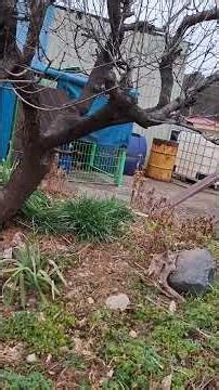 What's Your Back Yard Look Like #farmer