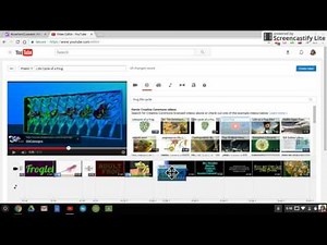 5.YouTube Video Editor Creative Commons Video Clips