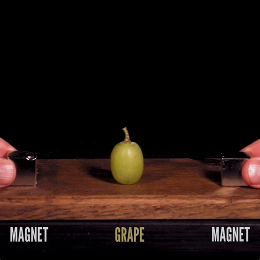 1.5M views · 2.7K reactions | we really enjoy seeing the fruits of your labor, FB Object  → https://yt.be/vHvRa | YouTube | Facebook