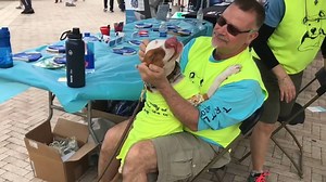 1.1M views · 332 reactions | This doctor treated a severely burned dog for two long months of recovery — and the two developed a beautiful lifetime bond. (via A Plus) | NationSwell | Facebook