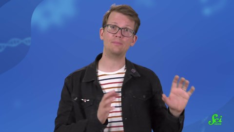 A Story of Wrong-Way Migration, Caused By Climate Change